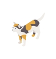 tortoiseshell cat icon isometric 3d style vector image