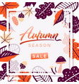 autumn leaves season sale frame on white vector image