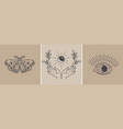 mystical and magical occult signs moon eye vector image vector image