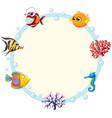 an underwater creature border vector image