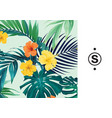 hawaiian floral design with monstera palm leaves vector image
