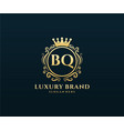 bq initial letter gold calligraphic feminine vector image vector image