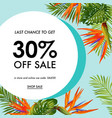 summer sale tropical banner seasonal promotion vector image