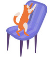 kitten spending time and having fun at home cat vector image vector image