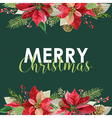 new year and christmas card - vintage poinsettia vector image