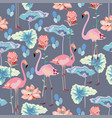 pink flamingos surrounded lotus flowers vector image