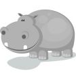 hippo vector image