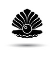 open seashell icon vector image