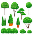 ornamental shrubs and trees on white background vector image vector image