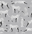 seamless pattern with hand drawn exotic big cat vector image vector image