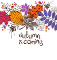 colorful autumn leaves concept vector image