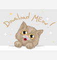 cute kitten with big beautiful eyes and fluffy vector image vector image