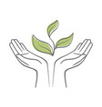 sprout in a hand sign of environmental protection vector image