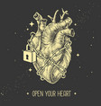 realistic human heart chained with a padlock vector image