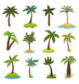 cartoon palm trees on tropical exotic islands vector image