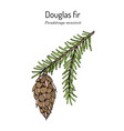 douglas-fir pseudotsuga menziesii state tree vector image vector image