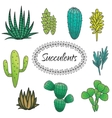 succulents plant set botanical green vector image