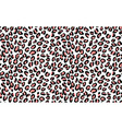 abstract modern leopard seamless pattern animals vector image