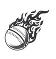 hot cricket ball fire logo silhouette cricket vector image vector image