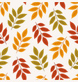 autumn seamless pattern with colorful ash leaves vector image