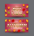 new autumn collection card template vector image vector image