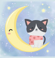 cute kitten with moon and stars vector image