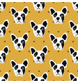 french bulldog seamless pattern vector image