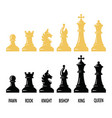 chess piece set vector image