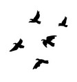 black flying birds flock concept vector image