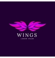 wings emblem vector image vector image