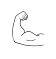 bicep muscle handdrawn doodle style vector image