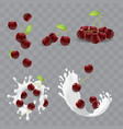 realistic detailed 3d red cherry berries set vector image vector image