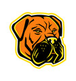 bullmastiff dog mascot vector image vector image