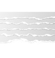 horizontal torn paper edge ripped squared vector image