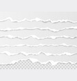 horizontal torn paper edge ripped squared vector image