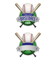 fantasy baseball draft vector image vector image