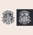set with a hemp leaf vector image