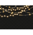 christmas lights set xmas glowing garland vector image