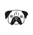 cute pug face dog head icon hand drawn isolated vector image