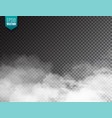 realistic fog mist effect smoke isolated vector image