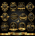 set of dark gold-framed labels vector image