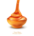 object - a bowl is filled with honey vector image vector image
