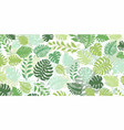 tropical palm leaves background vector image