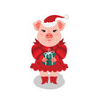 funny a pink in red dress vector image vector image