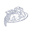 isolated sketch of grapes and cheese vector image
