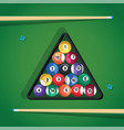 billiard stick and pool balls in triangle on green vector image