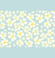 tropical exotic plumeria flowers vector image vector image