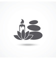 spa icon vector image