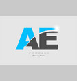 combination letter ae a e in grey blue color vector image vector image