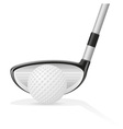 golf 04 vector image vector image